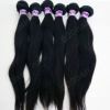 Выдвижение человеческих волос идеально искусств волос шелковистое прямое малайзийское виргинское