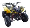 110cc atv QW-ATV-08C