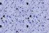 Голубой искусственний камень QZ1603 кварца