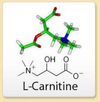 L Carnitine