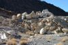 Carrara Nevada Marble Claims - 200 acres patented