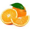 Fresh Orange Bulk Buy Orange Price Tangerine Mandarin Orange for Sale