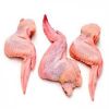 Frozen chicken MJW