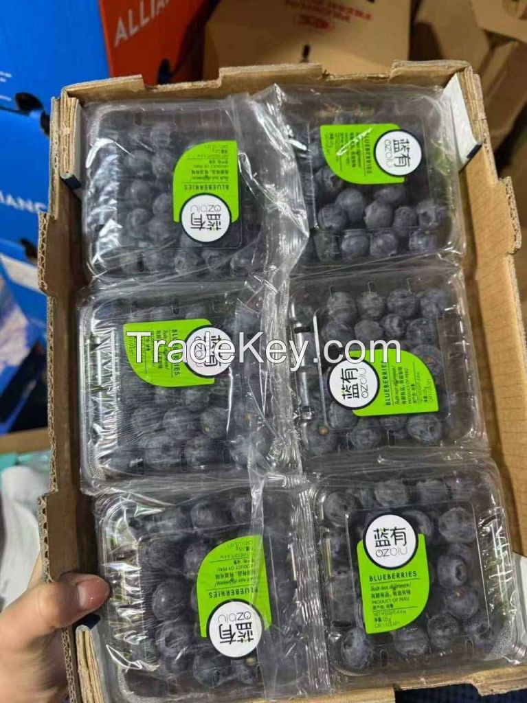 â€‹South Africa 125g Fresh Blueberries 2025 Blueberies Air Freight Muscat, UAE, Noord Holland