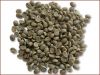 зеленые кофейные зерна (тип arabica)