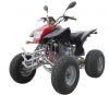 EEC를 가진 200CC/250CC ATV