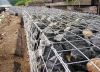 ячеистая сеть gabion