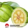 Garcinia Cambogia 추출물 80% Hydroxycitric 산