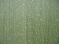 대나무 Wallcovering