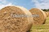 organic hay