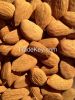 Raw Organic Spanish Almonds