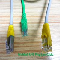 10 Ft 20ft Rj45 Utp Amp Cat6 유선 텔레비전 방송망