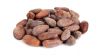 Cocoa Bean Dry