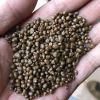 High Purity dap fertilizer prices 18-46-0 Diammonium Phosphate Agricultural Fertilizer 