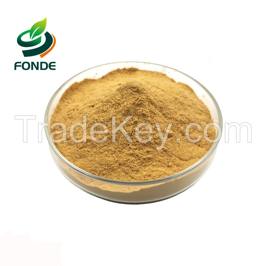 Supply White Tea Extract /Yellow tea extract/Pu'er tea extract 