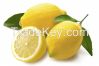 Свежая ранг качество награды лимона