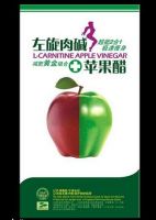 L Carnitine Apple 식초 강한 체중 감소 환약