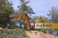 Pterosauria ...