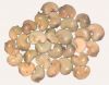 Cashew Nut Buyers | Cashew Nut Importer | Buy Cashew Nut | Cashew Nut Buyer | Low Price Cashew Nut | Cashewnut Suppliers | Cheap Cashew Nut | Wholesale Cashew Nut | Discounted Cashew Nut | Bulk Cashew Nut | Cashew Nut Suppliers