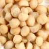 Raw Organic Macadamia Nuts