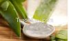 Skin Care Aloe Vera