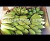 Thai Bananas, red bananas, plantains, burro banana 