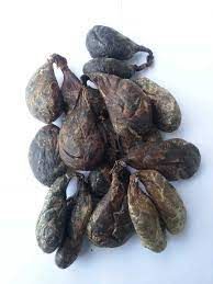 Castoreum 6-10% Tincture
