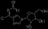 riboside 2 6 Dichloropurine