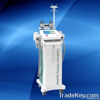 기계를 체중을 줄이는 Cryolipolysis 뚱뚱한 동결