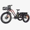 Addmotor MOTAN M-350 P7 Electric Fat Trike 750W 3 Wheel Cargo Bike