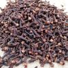 High Quality Dried Clove for Sale with Export Standard 