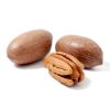 Organic Pecan Nuts, Raw Pecan Nuts, Pecan Nuts Halves for sale