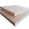 Pine Plywood 