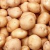Свежие картошки