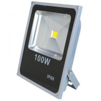 0.5w 칩을 가진 신식 Led 홍수 빛 100w $15.6