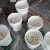 Bulk Supply CaCl2 Calcium Chloride 74% 77% in Flakes