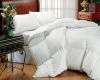 Down or Down Alternative pillows or comforters