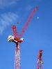 Luffing Tower Cranes
