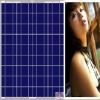 поли панель солнечных батарей 260-300W для КРЫШИ ЗАВОДА МАСЛА