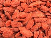 Lycuim (goji)