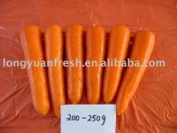 Китайская свежая морковь