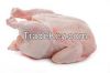 chicken meat