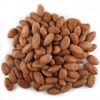 Cocoa Bean Price Per Kg High Quality Raw Cocoa Bean Ghana Organic Cacao Bean