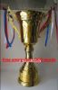 Custom trophy  metal trophy  (Free engraving LOGO words)