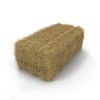 Dried Wheat Straw for Farm Animals for Cattle Horse Pig Cow Goat Feed Alfalfa Hay Grain Content Packaged in Bales or Bags