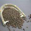 High-Quality DAP Fertilizer (Diammonium Phosphate) Ã¢ï¿½ï¿½ Boost Crop Yields & Soil Fertility