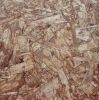 Oriented Strand Board