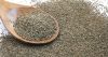 Pure Natural Carom Seeds/Ajwain Seeds/Celery Seeds 