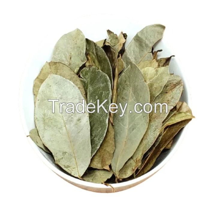 HIGH-GRADE DRIED SOURSOP LEAVES / VIETNAMESE EXPORT TEA LEAVES