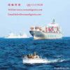 Перевозка груза перевозки LCL от Huangpu/Wuchong, Гуанчжоу к Европе